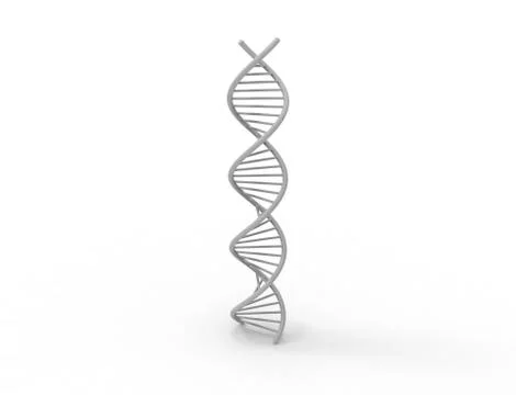 3d rendering of DNA string isolated in white background 스톡 일러스트