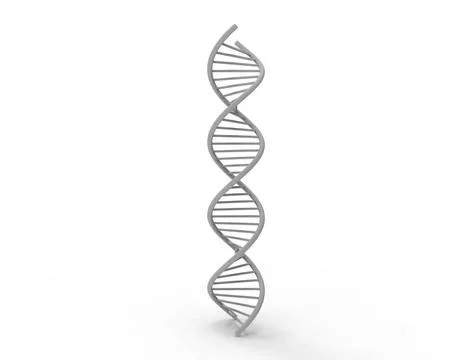 3d rendering of DNA string isolated in white background 3d rendering of a ... Stock Photos