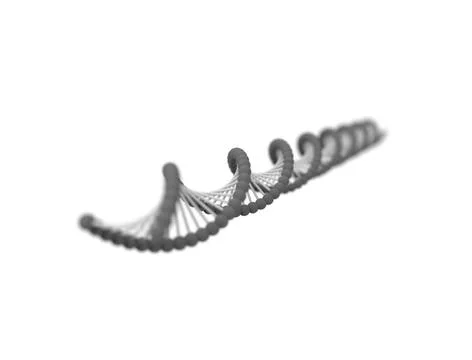3d rendering of DNA string isolated in white background 3d rendering of a ... Stock Photos