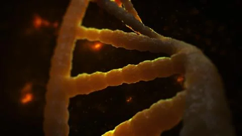 3d rendering of DNA structure on dark background. Stock Illustration