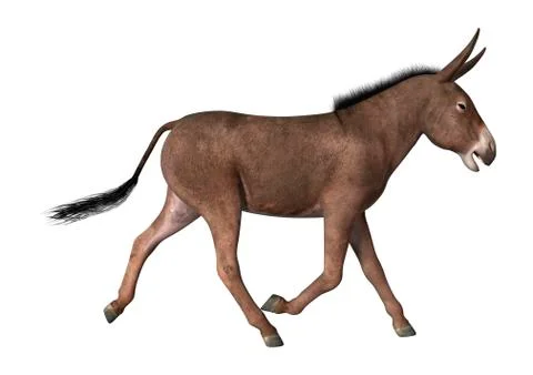 3D Rendering Donkey on White Stock Illustration