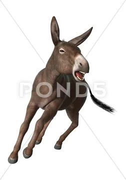 3D Rendering Donkey on White Stock Illustration