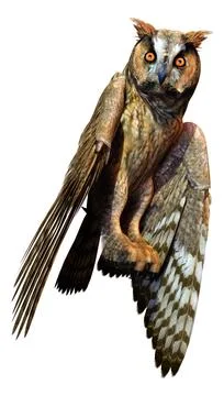 3D Rendering Eagle Owl on White Stock Illustration