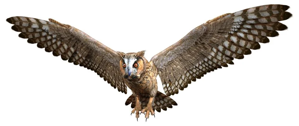 3D Rendering Eagle Owl on White Stock Illustration