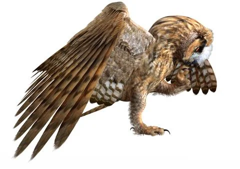 3D Rendering Eagle Owl on White Stock Illustration