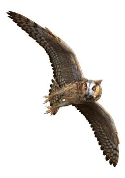 3D Rendering Eagle Owl on White Stock Illustration
