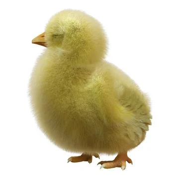 3D Rendering Easter Chick on White Stock Illustration