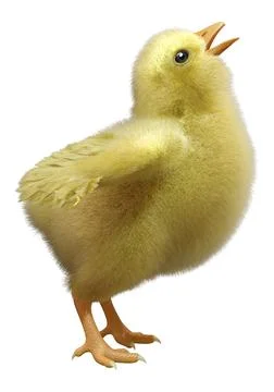 3D Rendering Easter Chick on White Stock Illustration