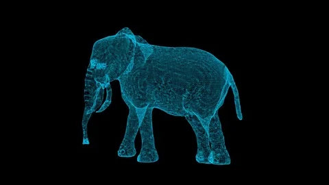 3d rendering elephant wireframe high poly mesh Stock Footage 106272475