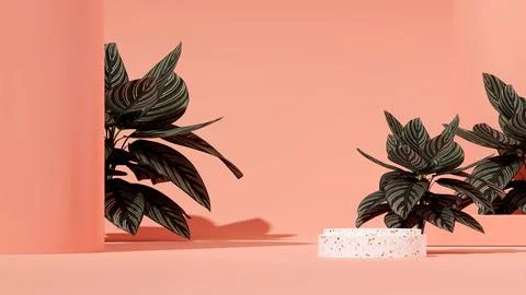 3D rendering of an empty product display podium and a beautiful green plants イラスト素材