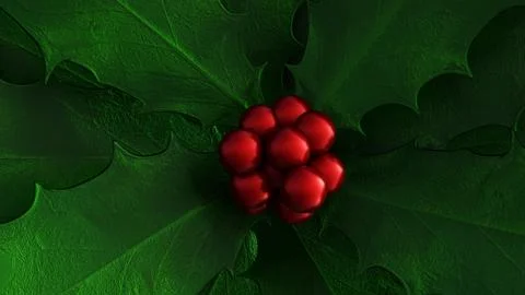 A 3d rendering of  English holly or Ilex aquifolium. Stock Illustration