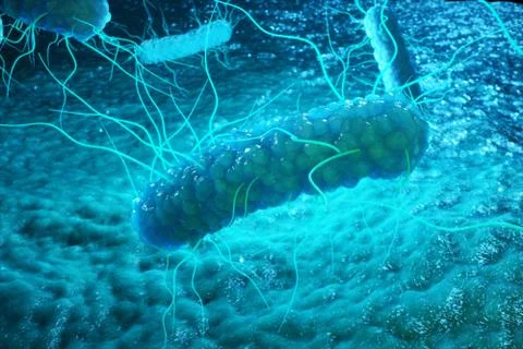 3D rendering Enterobacterias. Gram negativas Proteobacteria, bacteria such as Stock Illustration