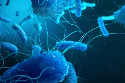 3D rendering Enterobacterias. Gram negativas Proteobacteria, bacteria such as Stock Illustration