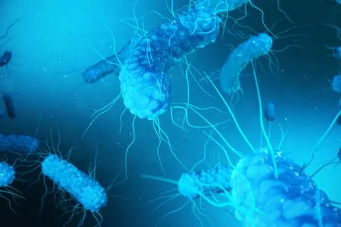 3D rendering Enterobacterias. Gram negativas Proteobacteria, bacteria such as Stock Illustration