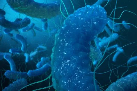 3D rendering Enterobacterias. Gram negativas Proteobacteria, bacteria such as Stock Illustration