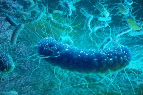3D rendering Enterobacterias. Gram negativas Proteobacteria, bacteria such as Stock Illustration