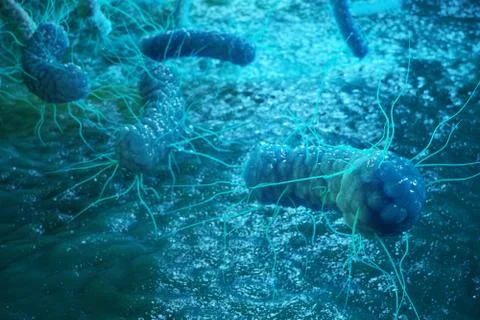 3D rendering Enterobacterias. Gram negativas Proteobacteria, bacteria such as Stock Illustration