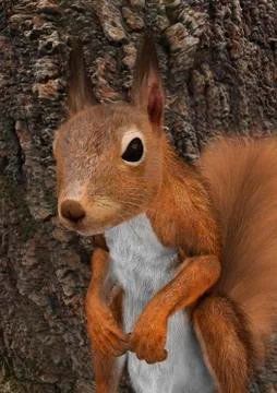 3D Rendering European Red Squirrel Illustrazione stock