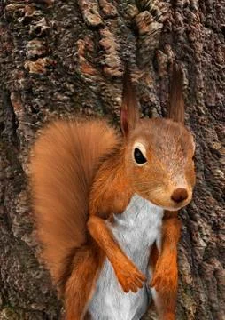 3D Rendering European Red Squirrel 스톡 일러스트