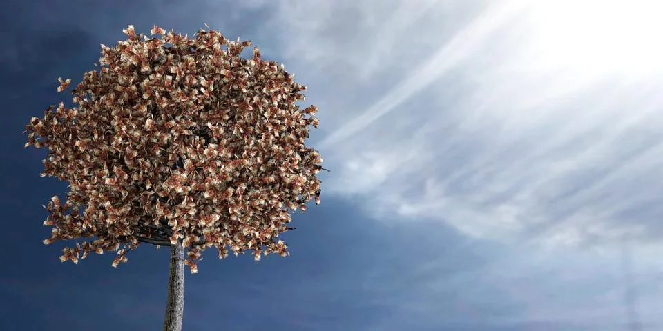 3d rendering of euros growing on a tree Stock Illustration
