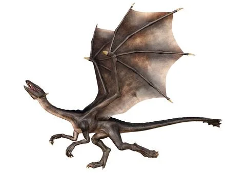 3D Rendering Fairy Tale Dragon on White Stock Illustration