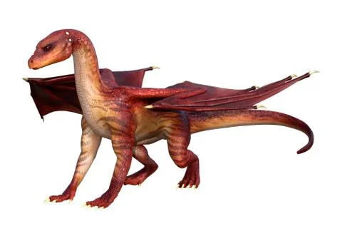 3D Rendering Fantasy Dragon on White Stock Illustration