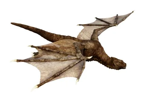 3D Rendering Fantasy Dragon on White Stock Illustration