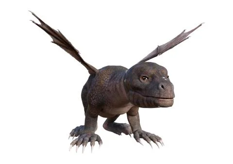 3D Rendering Fantasy Hatchling Dragon on White Stock Illustration