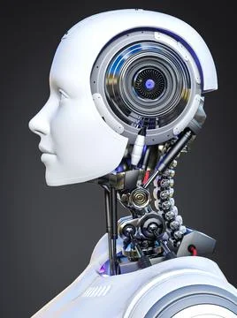 3D rendering of a female android robot head in side view. Stock Illustration