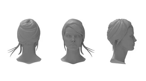 3d rendering of a female head front side and back view isolated on empty space Stock Illustration