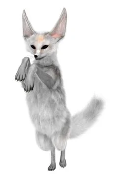3D Rendering Fennec Fox on White Stock Illustration