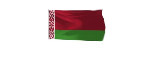 3D Rendering of the flag of Belarus Stock Footage 241580957