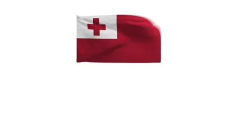 3D rendering of the flag of Tonga Stock Footage 249670617