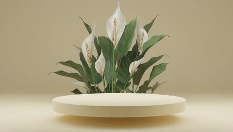 3D rendering flower background yellow color with geometric shape podium for Stock Illustration