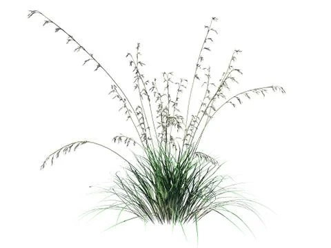 3d rendering of flower bush isolated on white can be used for foreground desi Stock Illustration