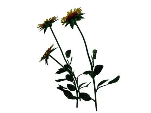 3d rendering of flower bush isolated on white can be used for foreground desi Stock Illustration