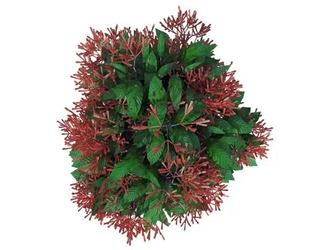 3d rendering of a flower bush from top view isolated on white Stock Illustration