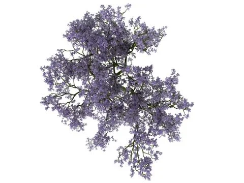 3d rendering of a flower bush from top view isolated on white 스톡 일러스트