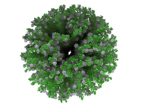 3d rendering of a flower bush from top view isolated on white Stock Illustration