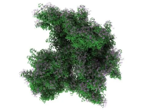 3d rendering of a flower bush from top view isolated on white Stock Illustration