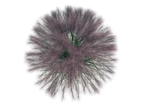 3d rendering of a flower bush from top view isolated on white Stock Illustration
