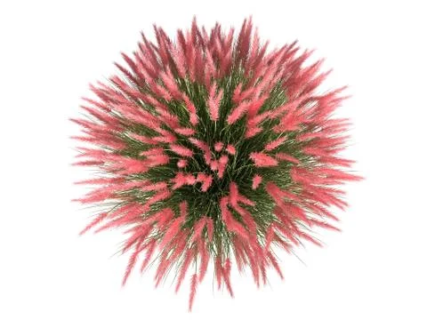 3d rendering of a flower bush from top view isolated on white 스톡 일러스트