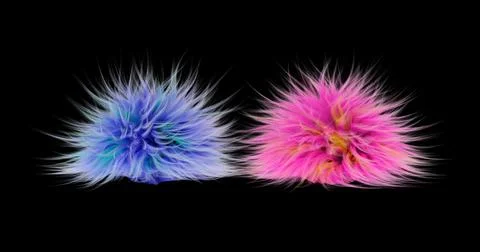 3d rendering. Fluffy purple ball on a black isolated background. Graphic illu Stock Illustration