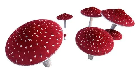 3D Rendering Fly Agaric Mushrooms on White Stock Illustration