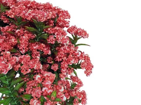 3d rendering of a foreground flower bush isolated on white Stock Illustration