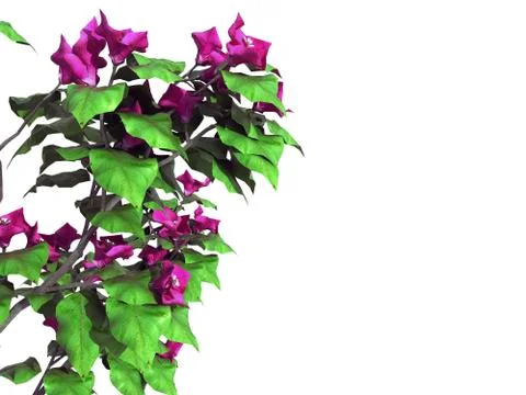 3d rendering of a foreground tree branch isolated on white Stock Illustration