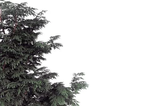 3d rendering of a foreground tree branch isolated on white Stock Illustration