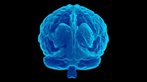 3d rendering front view brain x-ray surface on black background Ilustración de archivo