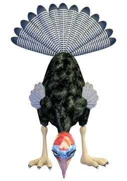 3D rendering of funny cartoon turkey with expressive face and spread tail f.. Stock Illustration