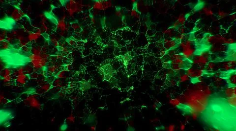 3D rendering of glowing chaotic elements in green color Stock Illustration